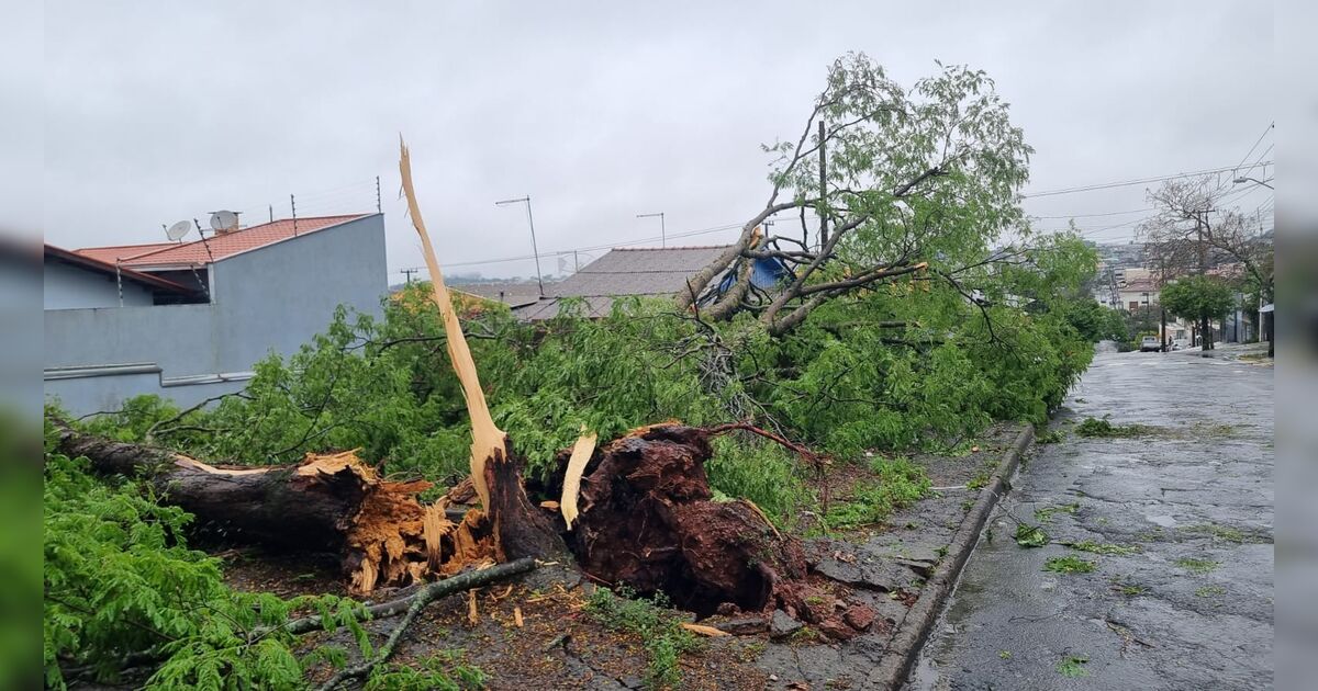 O que é downburst? Fenômeno pode ter causado estragos em Apucarana, aponta Simepar