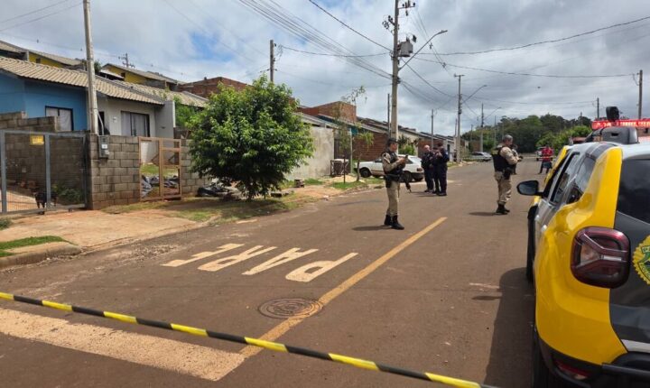 O que já se sabe sobre morte de menino atacado por pit bull em Apucarana