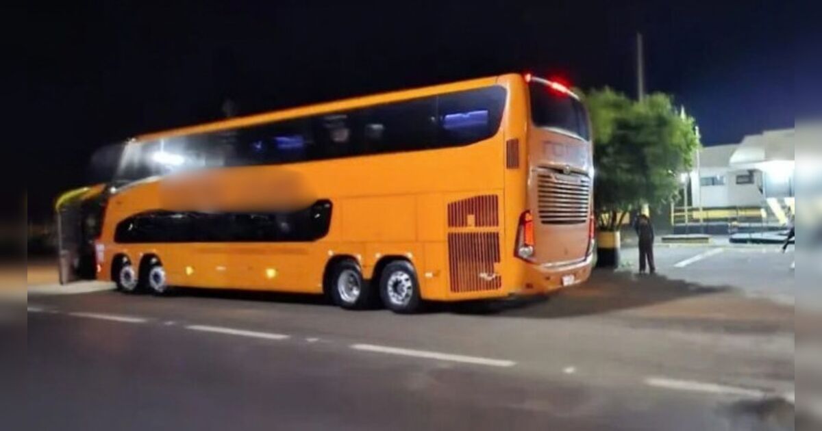 Quadrilha rende motorista, desvia rota de ônibus na PR-317 e assalta 22 passageiros em Floresta