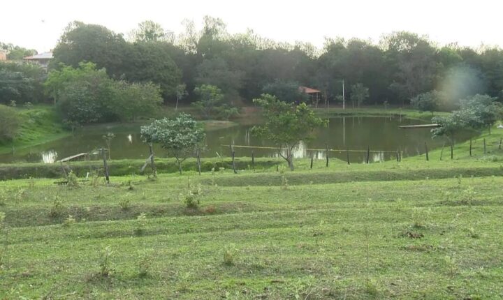 Mãe é presa após jogar três filhos em represa; bebê de 10 meses morre afogada no interior paulista