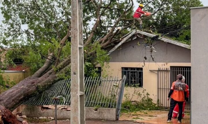 Em uma semana, dez pessoas sofrem fraturas no crânio e na coluna ao tentar consertar telhados após temporal em Apucarana