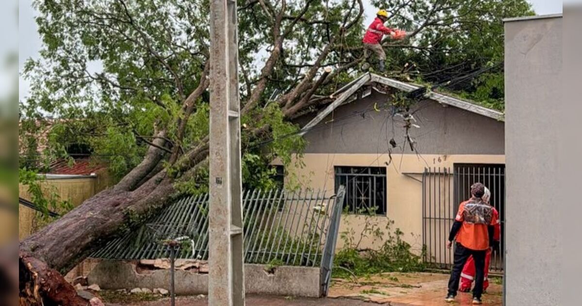 Em uma semana, dez pessoas sofrem fraturas no crânio e na coluna ao tentar consertar telhados após temporal em Apucarana
