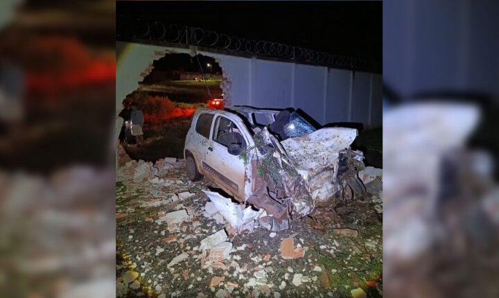 Jovem morre após atropelar cavalo e bater carro em muro de subestação no Paraná