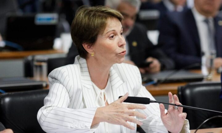 Tereza Cristina diz que STF está “na iminência de uma implosão”