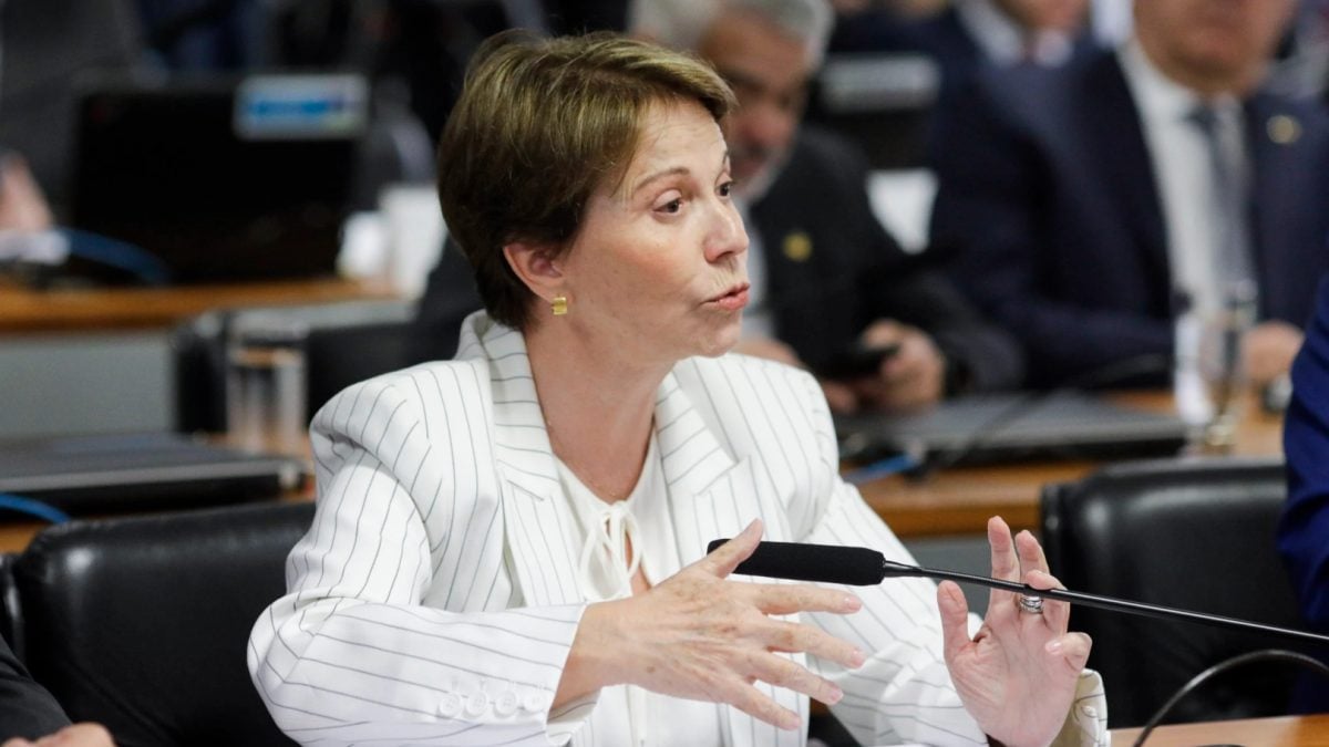 Tereza Cristina diz que STF está “na iminência de uma implosão”