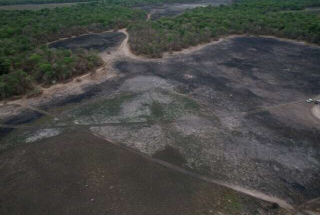 Incêndios que consumiram cerca de 1 mil hectares em Aquidauana são investigados
