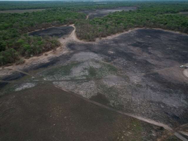 Incêndios que consumiram cerca de 1 mil hectares em Aquidauana são investigados