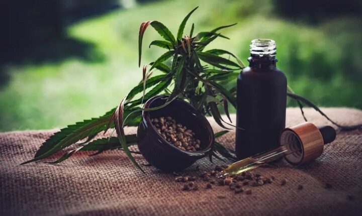 Mercado de cannabis medicinal pode chegar a R$ 1,2 bilhão em 2026