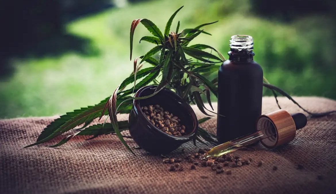 Mercado de cannabis medicinal pode chegar a R$ 1,2 bilhão em 2026
