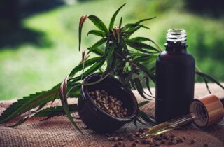 Para associações, normas ainda deixam pontos em aberto sobre cannabis