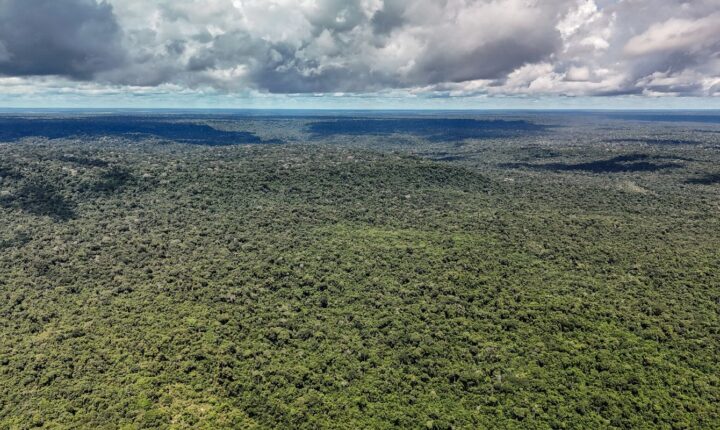 Devastação na Amazônia pode quebrar maior “máquina de chuva” do mundo