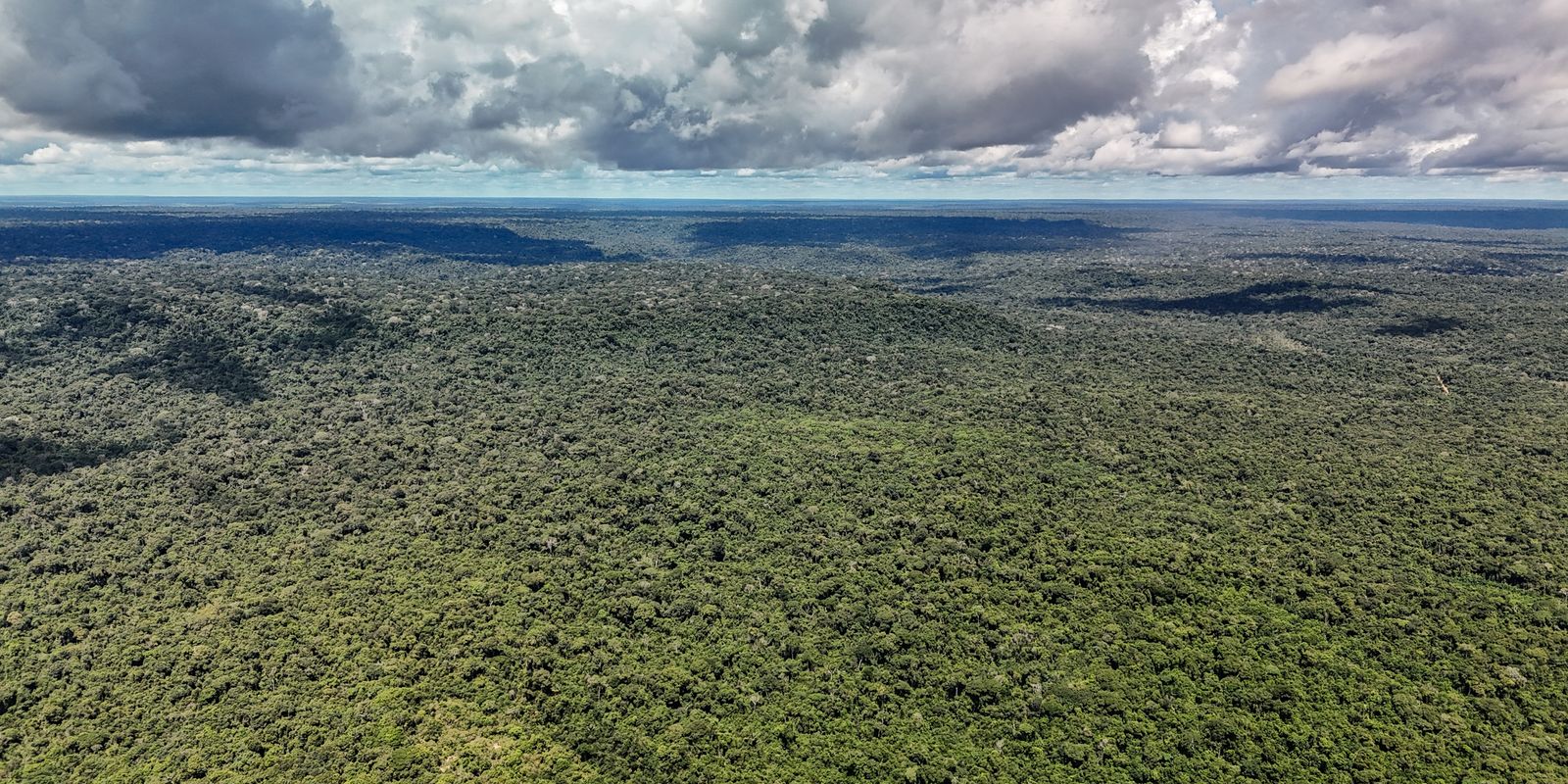 Devastação na Amazônia pode quebrar maior “máquina de chuva” do mundo
