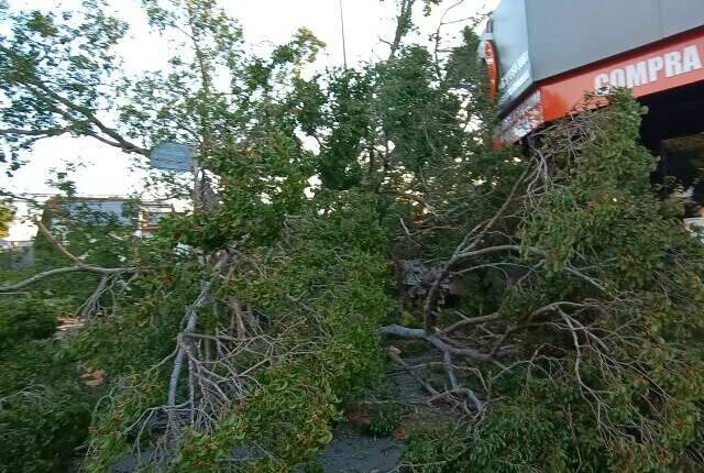 Semana começa com risco de temporal, granizo e ventos fortes em MS