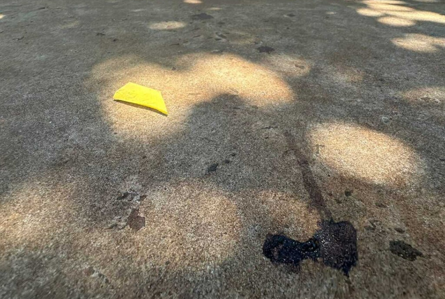 Júri absolve réu que matou primo com três tiros em festa em Campo Grande