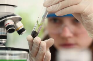 Imersão científica abre vagas para alunas e professoras em centros tecnológicos do país