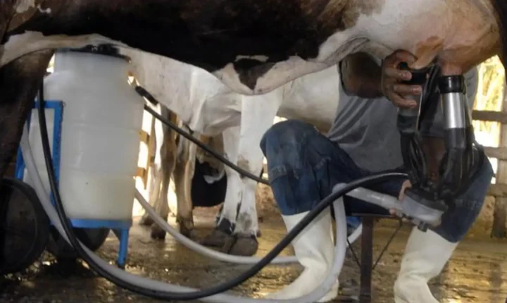Produção nacional de leite atinge patamar recorde com alta na produtividade e menor rebanho