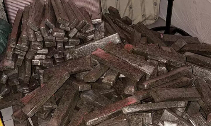 Polícia apreende 1,6 tonelada de maconha em casa usada como depósito em Campo Grande