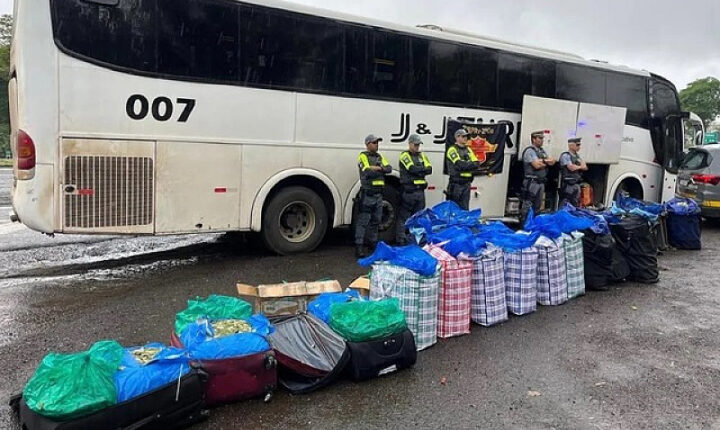 Polícia paulista flagra quase 750 quilos de folha de coca em ônibus que saiu de Corumbá