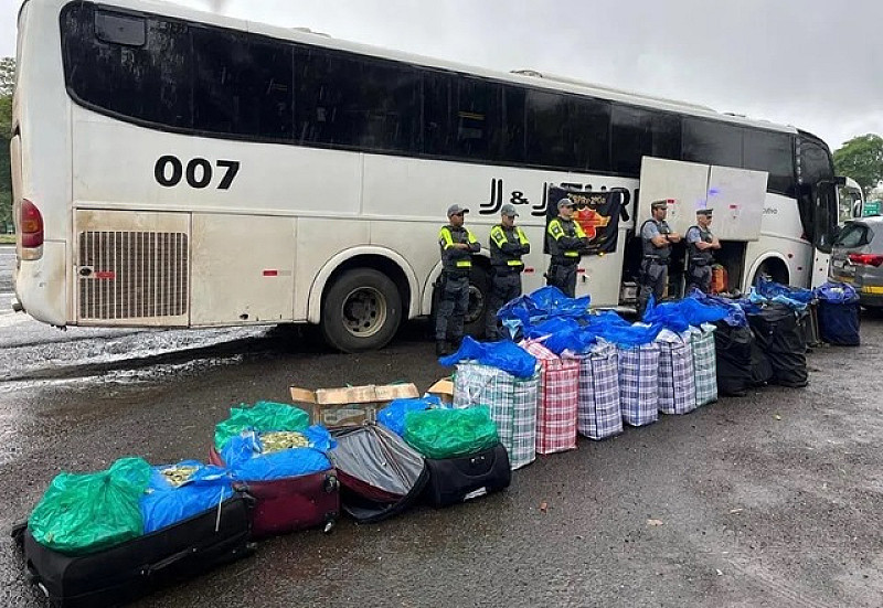 Polícia paulista flagra quase 750 quilos de folha de coca em ônibus que saiu de Corumbá