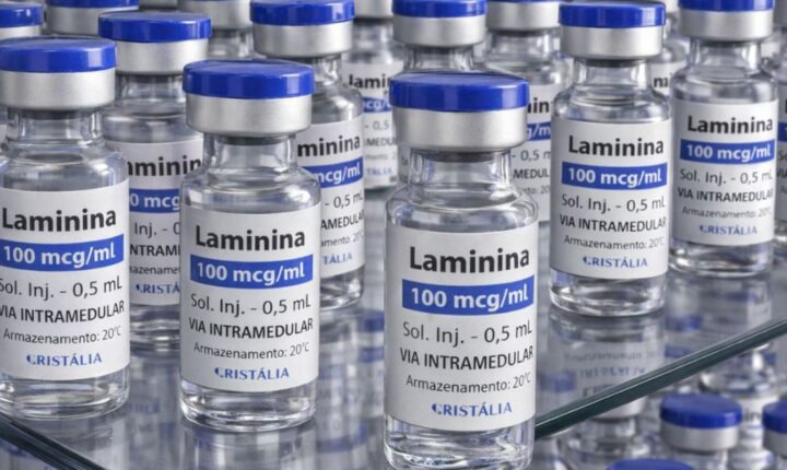 Testes clínicos fase 1 da polilaminina começam este mês para lesões medulares