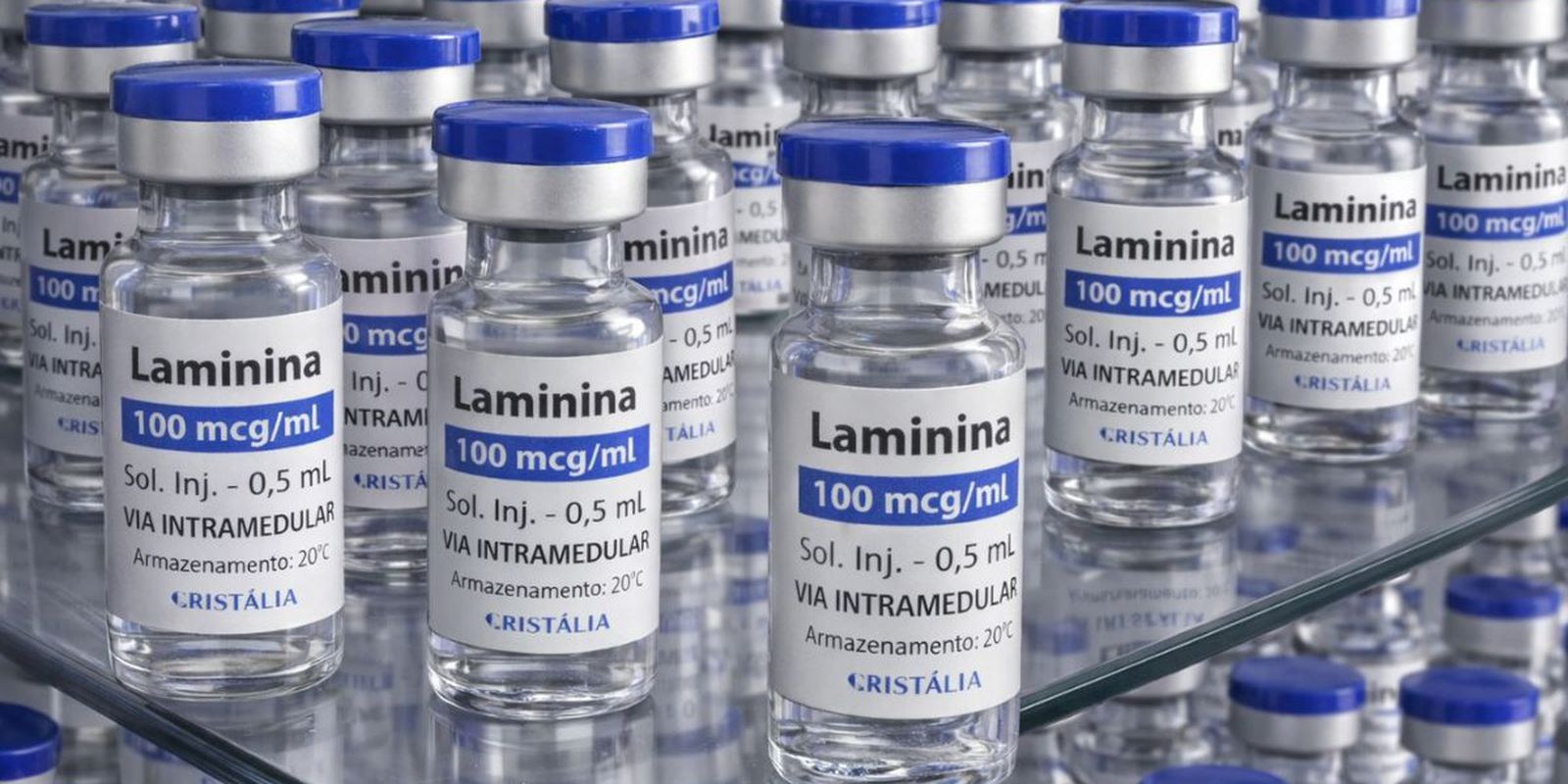 Testes clínicos fase 1 da polilaminina começam este mês para lesões medulares