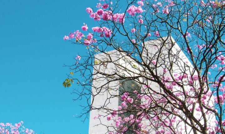Defesa Civil projeta primavera de calor intenso e temporais em SP