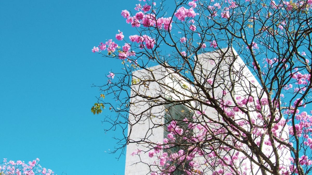 Defesa Civil projeta primavera de calor intenso e temporais em SP