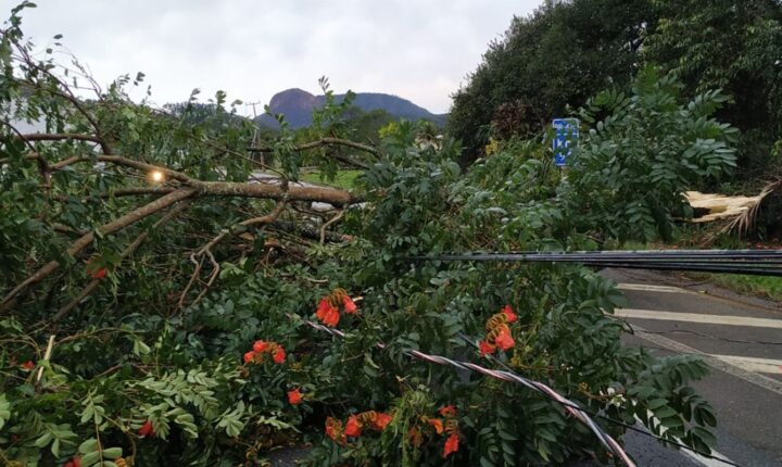 Alerta de tempestade: frente fria amplia instabilidade na Região Sul e outras áreas do país