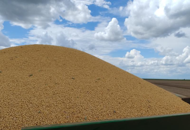 Milho tem 98,4% da área colhida e só 35 mil hectares seguem no campo em MS