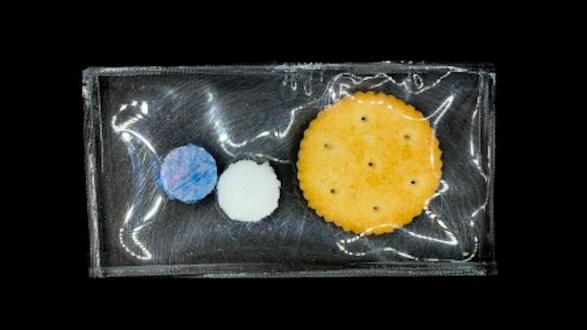 Sensor biodegradável indica umidade em embalagens