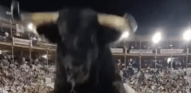 Touro de meia tonelada pula a cerca e causa pânico em arena na Espanha