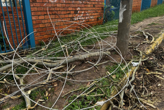 Fios e galhos ainda bloqueiam calçadas após temporal em Campo Grande