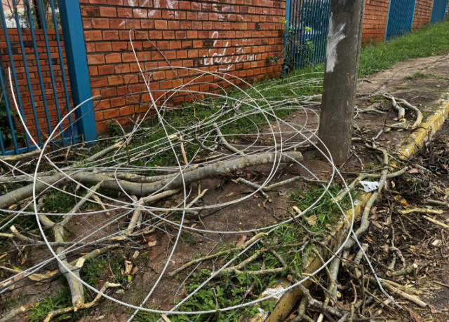 Fios e galhos ainda bloqueiam calçadas após temporal em Campo Grande