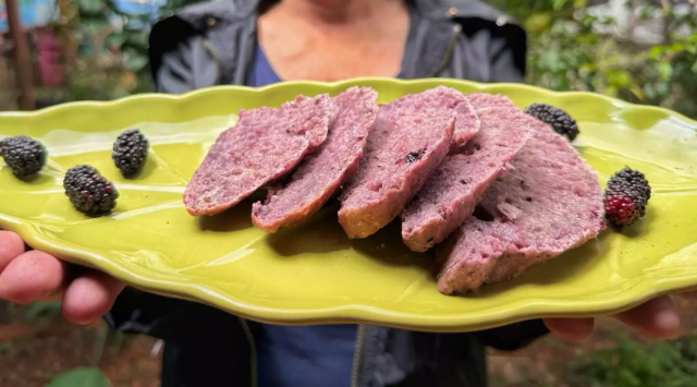 Amora do quintal vira pão fofinho e cheio de cor com receita simples