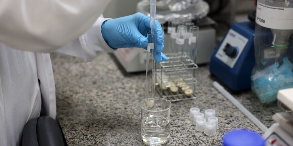 Santa Catarina conclui despovoamento sanitário após foco da doença de Newcastle em Nova Itaberaba