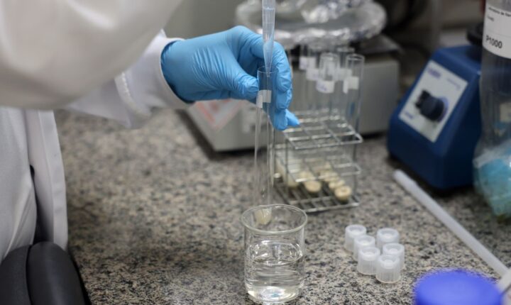 Santa Catarina conclui despovoamento sanitário após foco da doença de Newcastle em Nova Itaberaba