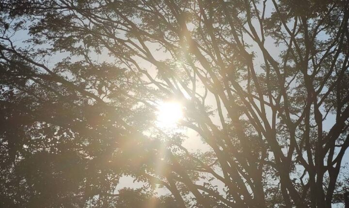 São Paulo deve ter sol de manhã e chuva isolada à tarde nesta quarta-feira