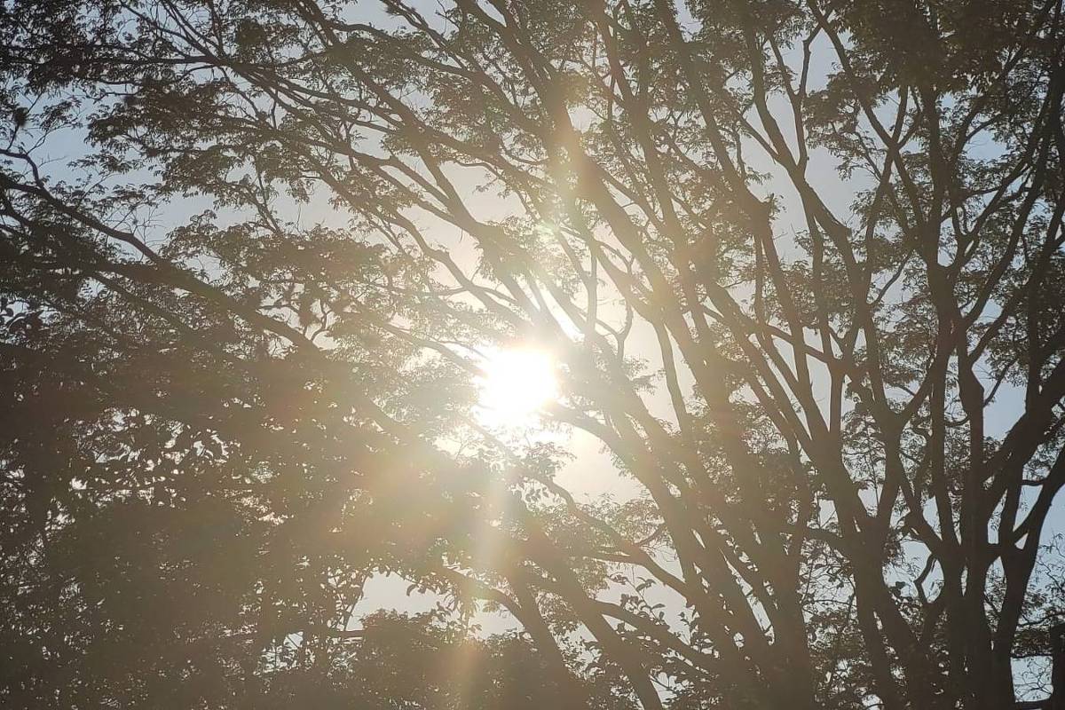 São Paulo deve ter sol de manhã e chuva isolada à tarde nesta quarta-feira