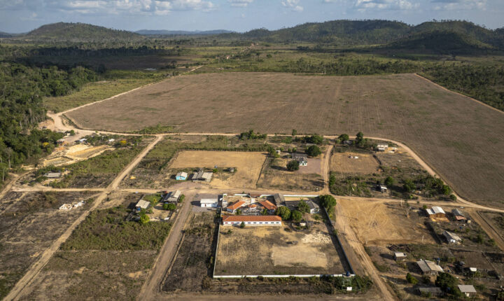Assentamento Terra Nossa enfrenta avanço da soja, conflitos de terra e divisão política no Pará