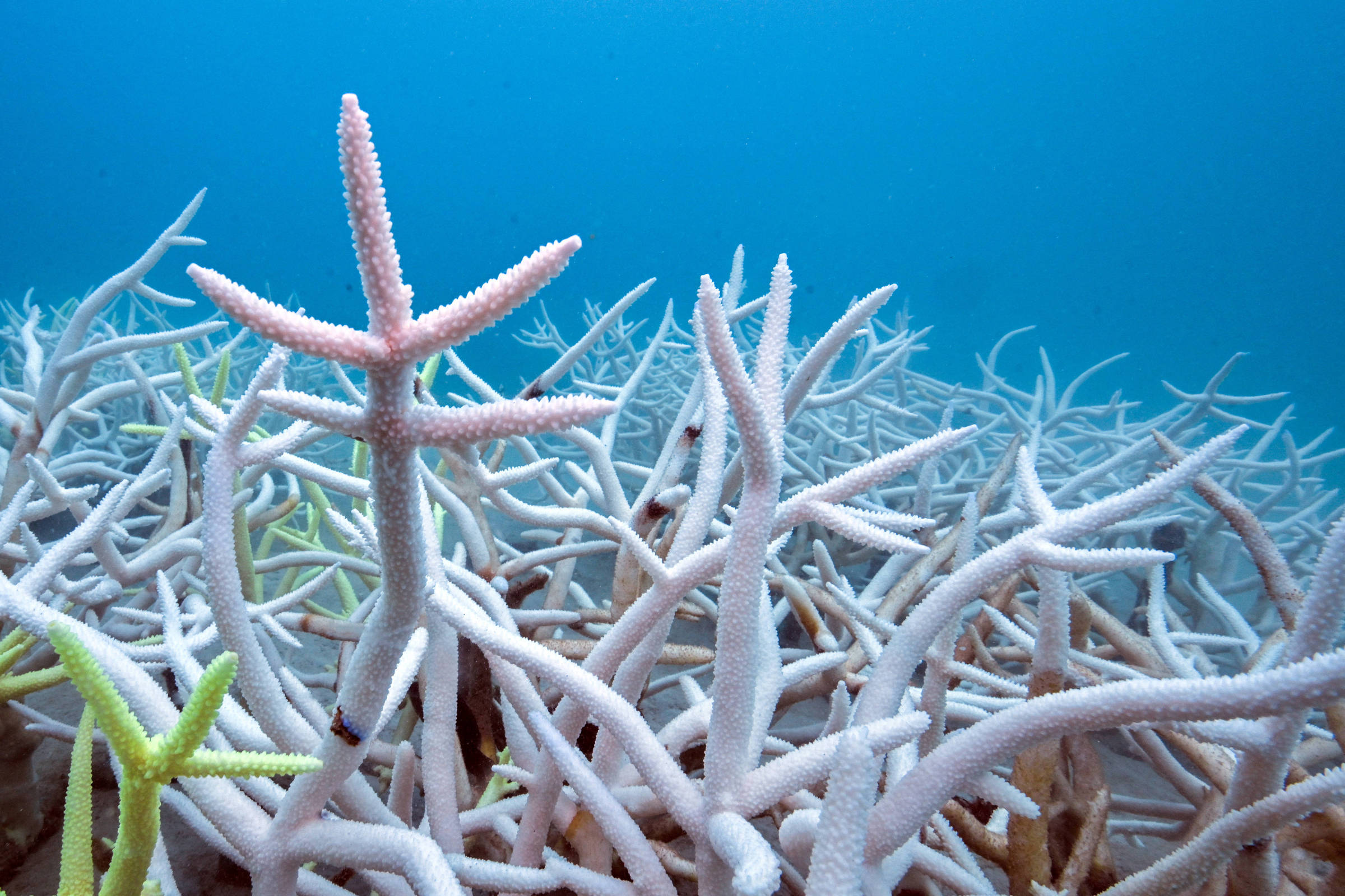 Calor excessivo torna mares mais salgados, e oceano global, mais ácido