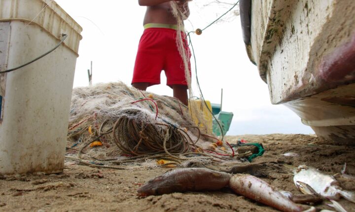 El Niño aquece o Pacífico e esvazia redes dos pescadores latino-americanos