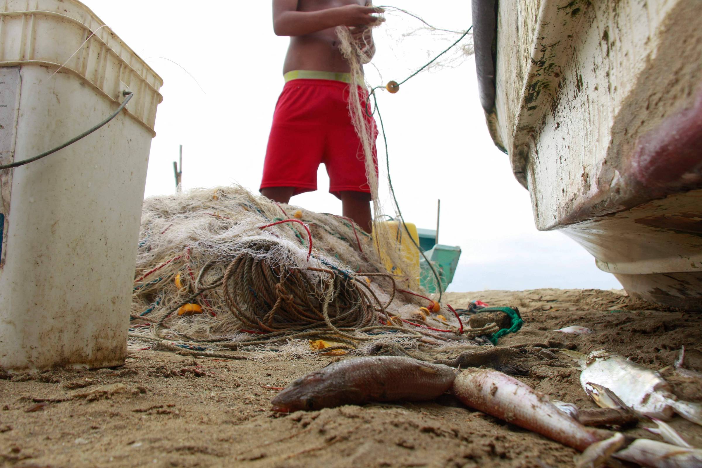 El Niño aquece o Pacífico e esvazia redes dos pescadores latino-americanos