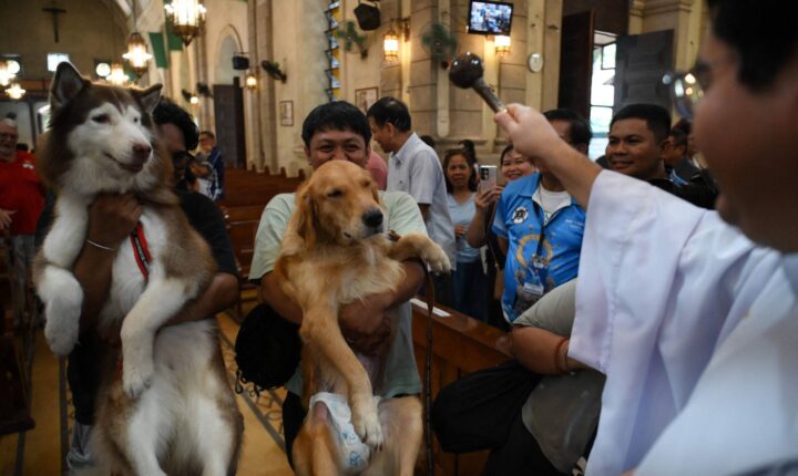 Tutores levam pets para bênção no Dia de São Francisco e dos Animais