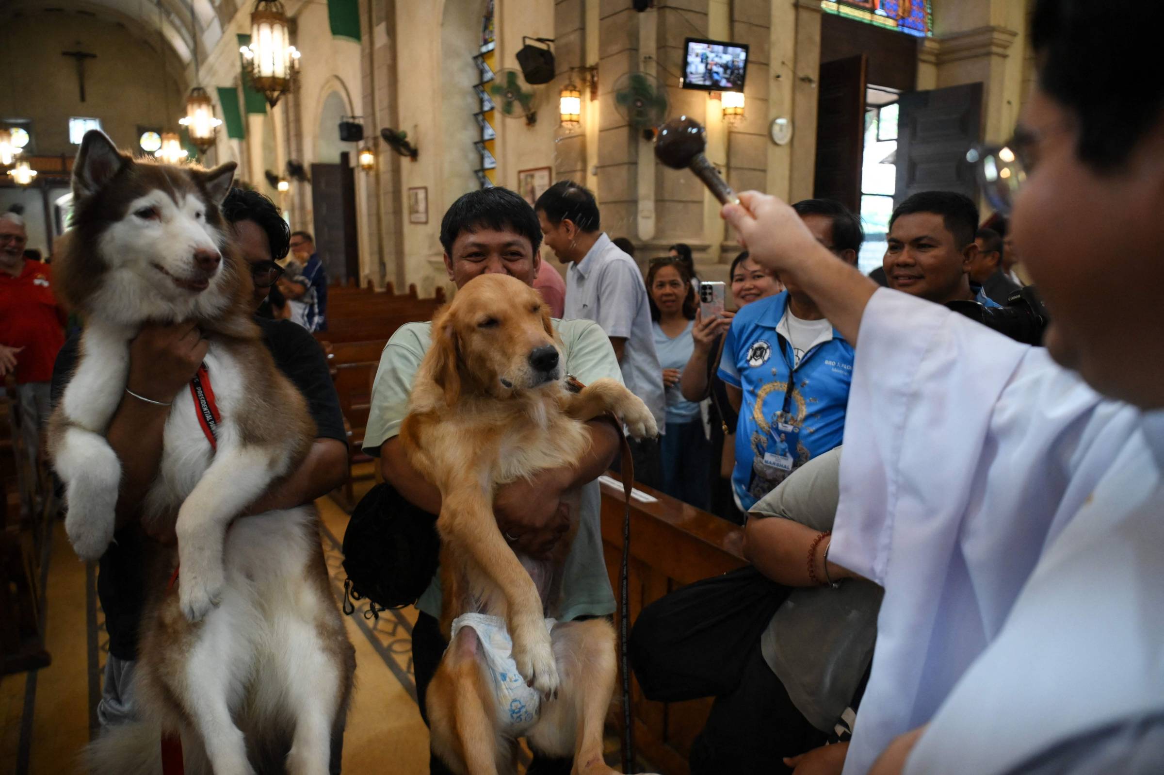 Tutores levam pets para bênção no Dia de São Francisco e dos Animais