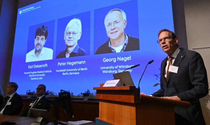 Nobel de Medicina de 2026 é concedido a pesquisas sobre canais de íon fotossensíveis