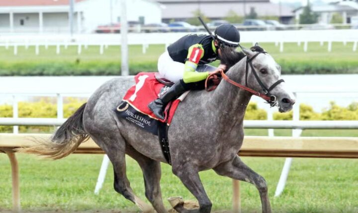 Cavalo de corrida ‘Pintor Austríaco’ é rebatizado após denúncia nos EUA