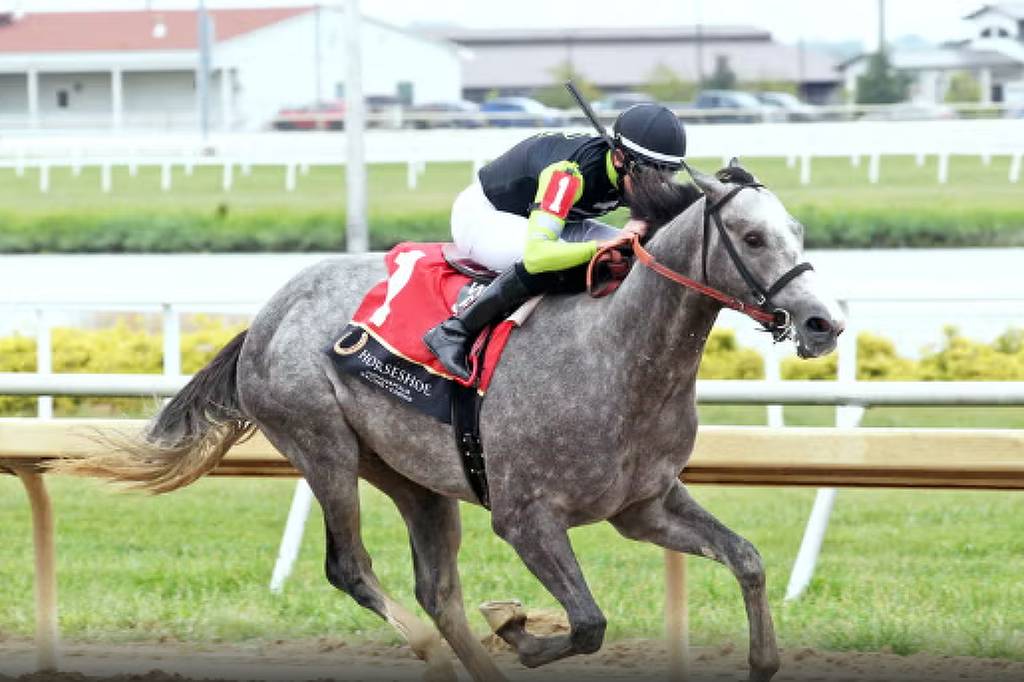 Cavalo de corrida ‘Pintor Austríaco’ é rebatizado após denúncia nos EUA