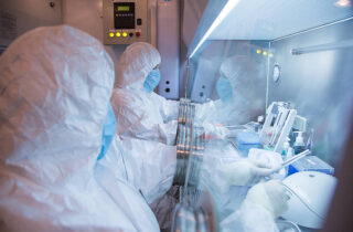 O que é a peste e como se transmite? Microbiologista explica caso na Rússia