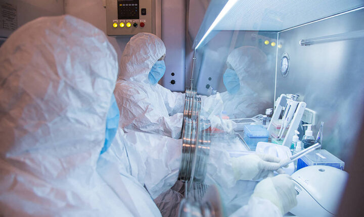 O que é a peste e como se transmite? Microbiologista explica caso na Rússia