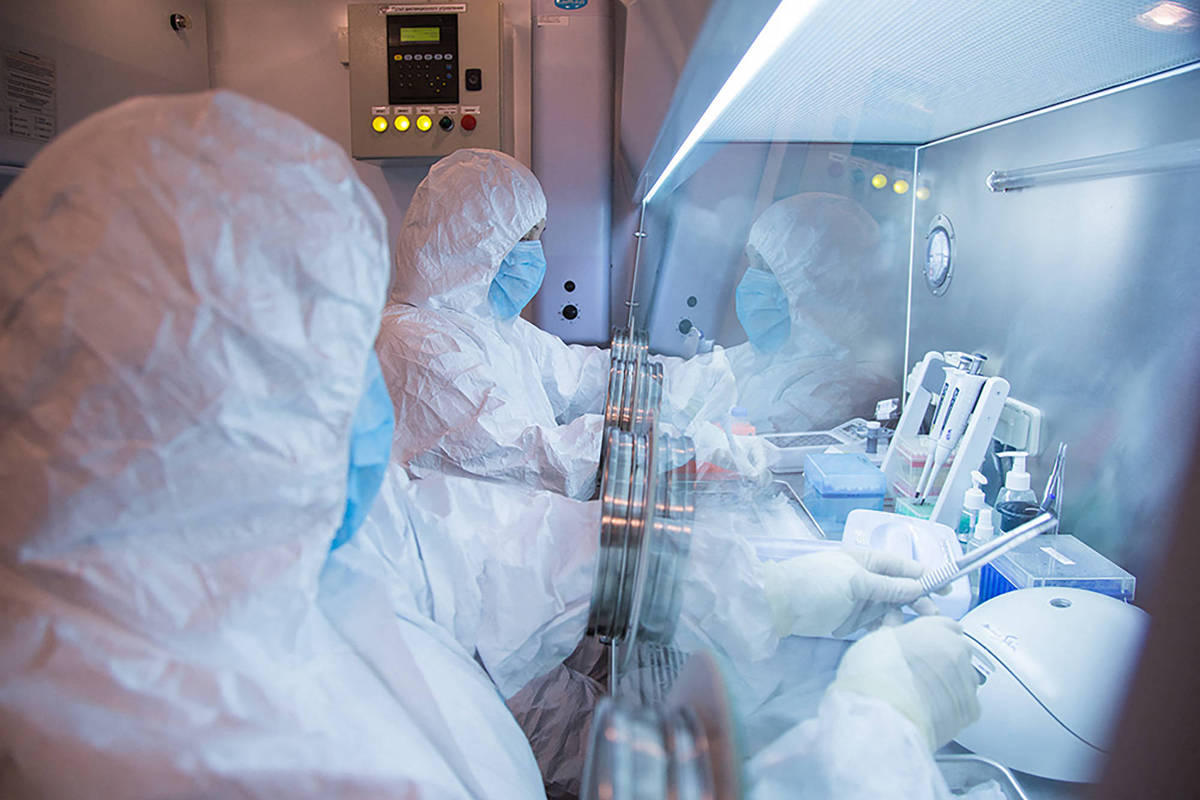 O que é a peste e como se transmite? Microbiologista explica caso na Rússia